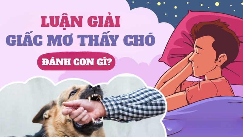 DU88 Luận giải giấc mộng thấy chó và chọn số lô liên quan