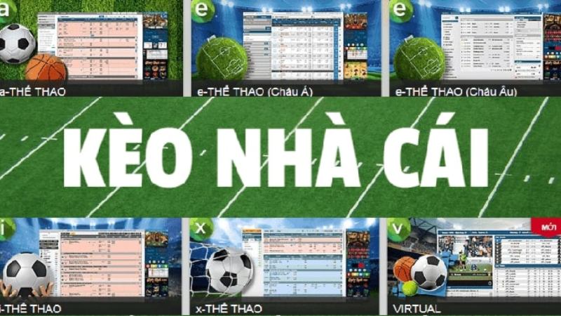 Du88 Chi tiết cách đọc tỷ lệ kèo nhà cái châu Á